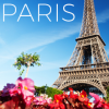 contests and sweepstakes